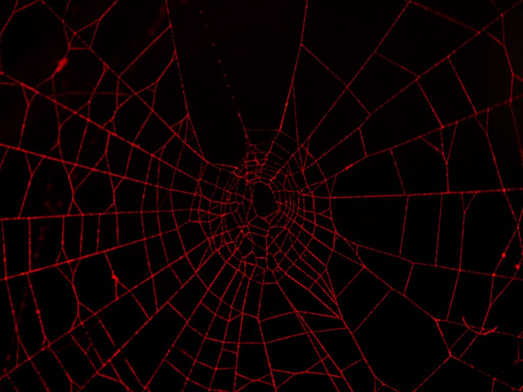 red glowing spider web