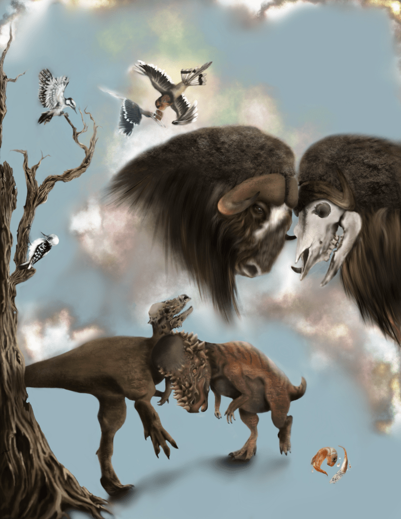 cover art for the "TBI, not just for humans" thematic issue, depicting muskoxen, pachycephalosaurids, helmeted hornbills, woodpeckers
